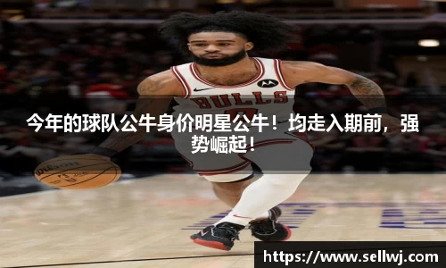jn江南·体育登录入口